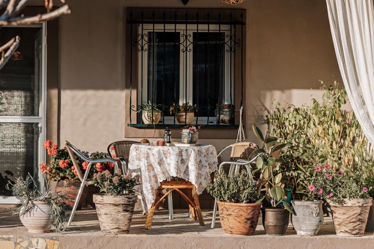 Case de vacanță Flower Garden House