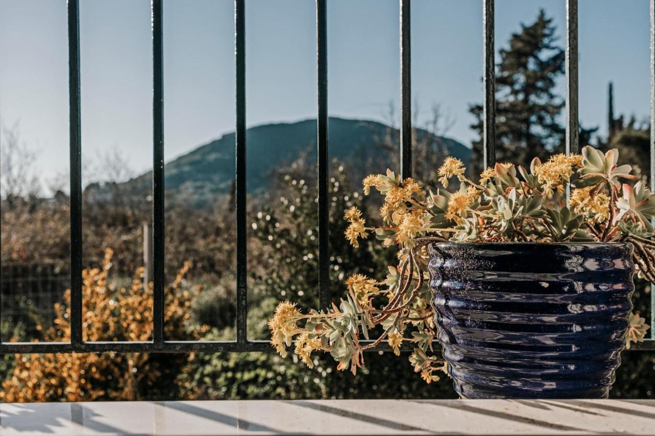 Flower Garden House